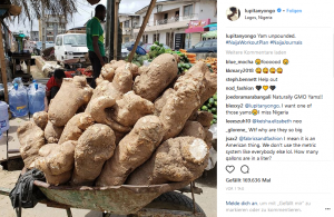 Yams Unpounded
